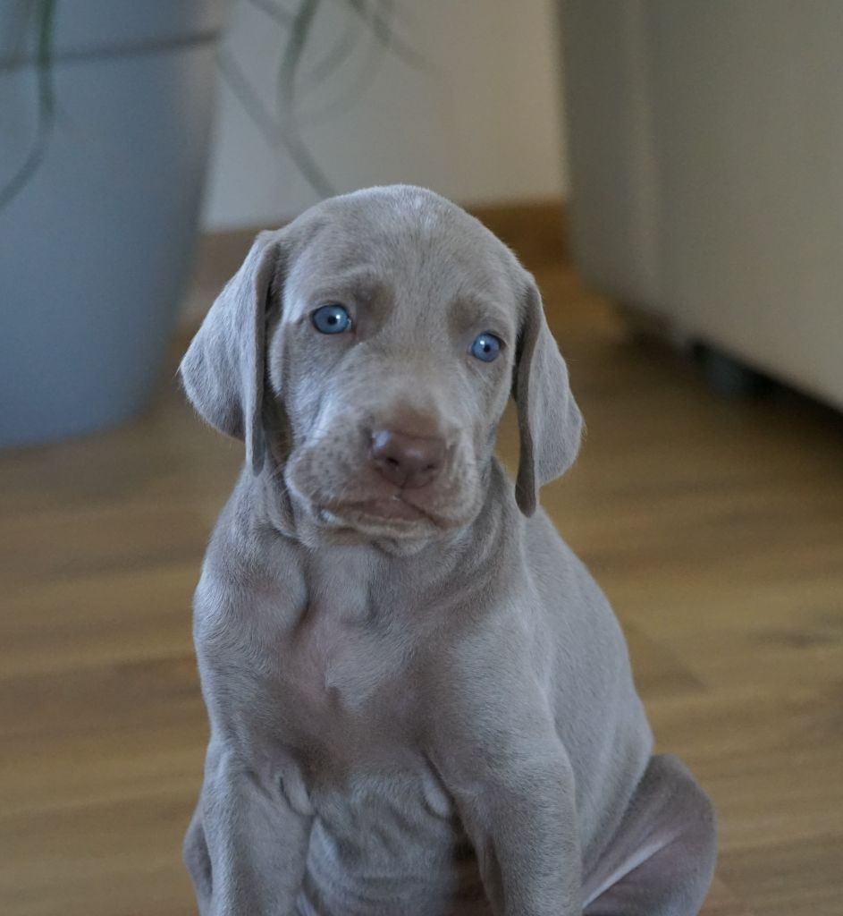 Des bouilles à bisous et à câlins! 